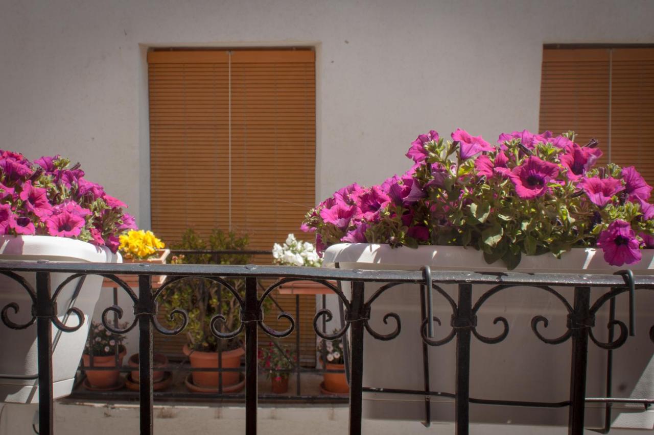 Casa Amparo - Alquiler Integro Con Encanto En Alicante Alcoleja Zewnętrze zdjęcie